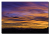 images/arizona/_k1_7471_small.jpg