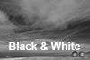 Black And White, currently 34 images Black And White