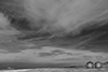 images/california/_d805921_bw_small.jpg