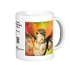 Hummingbird Mugshot Mugs At Redbubble! images/hb/female_allens_hummingbird_mug.gif