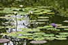 images/hi/_k5_4771_small.jpg