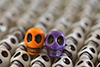 images/misc/_k7_7411_small.jpg